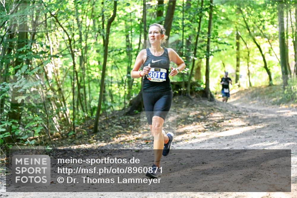 28.09.2025 - 33. Volkslauf durch das schöne Alstertal Dr. Thomas Lammeyer http://msf.ph/oto/8960871 28.09.2025 11:05:21 Laufen 3014 meine-sportfotos.de