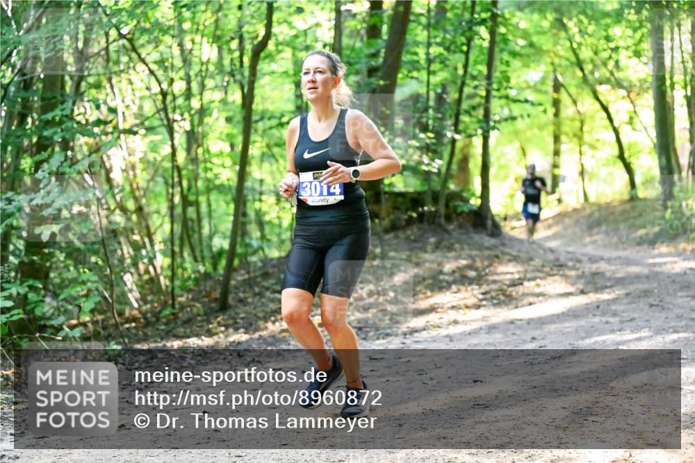28.09.2025 - 33. Volkslauf durch das schöne Alstertal Dr. Thomas Lammeyer http://msf.ph/oto/8960872 28.09.2025 11:05:21 Laufen 3014 meine-sportfotos.de