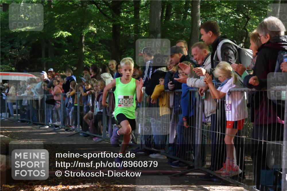 28.09.2025 - 33. Volkslauf durch das schöne Alstertal Strokosch-Dieckow http://msf.ph/oto/8960879 28.09.2025 10:51:07 Ziel 4009 meine-sportfotos.de