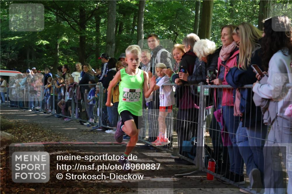 28.09.2025 - 33. Volkslauf durch das schöne Alstertal Strokosch-Dieckow http://msf.ph/oto/8960887 28.09.2025 10:51:07 Ziel 4009 meine-sportfotos.de