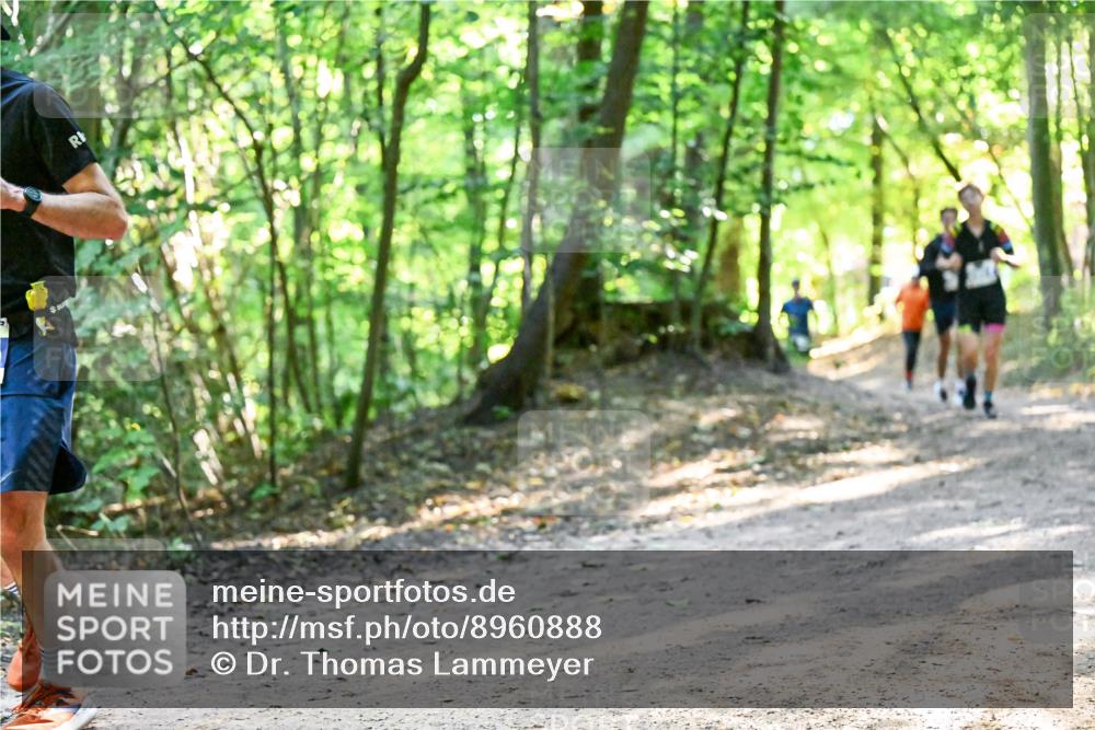 28.09.2025 - 33. Volkslauf durch das schöne Alstertal Dr. Thomas Lammeyer http://msf.ph/oto/8960888 28.09.2025 11:05:28 Laufen  meine-sportfotos.de