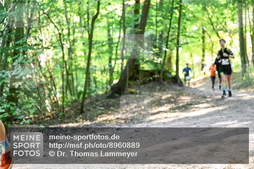 28.09.2025 - 33. Volkslauf durch das schöne Alstertal Dr. Thomas Lammeyer http://msf.ph/oto/8960889 28.09.2025 11:05:28 Laufen  meine-sportfotos.de