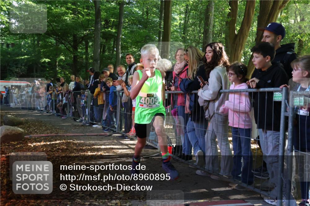 28.09.2025 - 33. Volkslauf durch das schöne Alstertal Strokosch-Dieckow http://msf.ph/oto/8960895 28.09.2025 10:51:08 Ziel 4009 meine-sportfotos.de