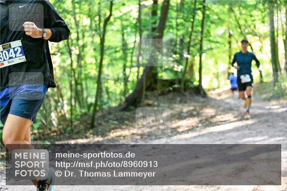 28.09.2025 - 33. Volkslauf durch das schöne Alstertal Dr. Thomas Lammeyer http://msf.ph/oto/8960913 28.09.2025 11:05:33 Laufen 3042 meine-sportfotos.de