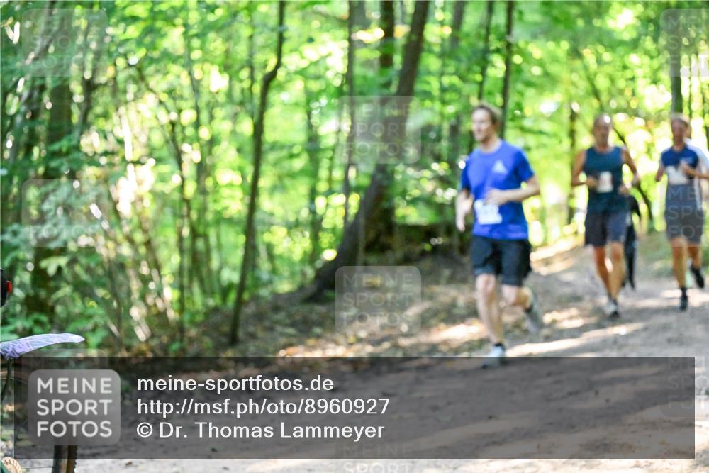 28.09.2025 - 33. Volkslauf durch das schöne Alstertal Dr. Thomas Lammeyer http://msf.ph/oto/8960927 28.09.2025 11:05:47 Laufen  meine-sportfotos.de