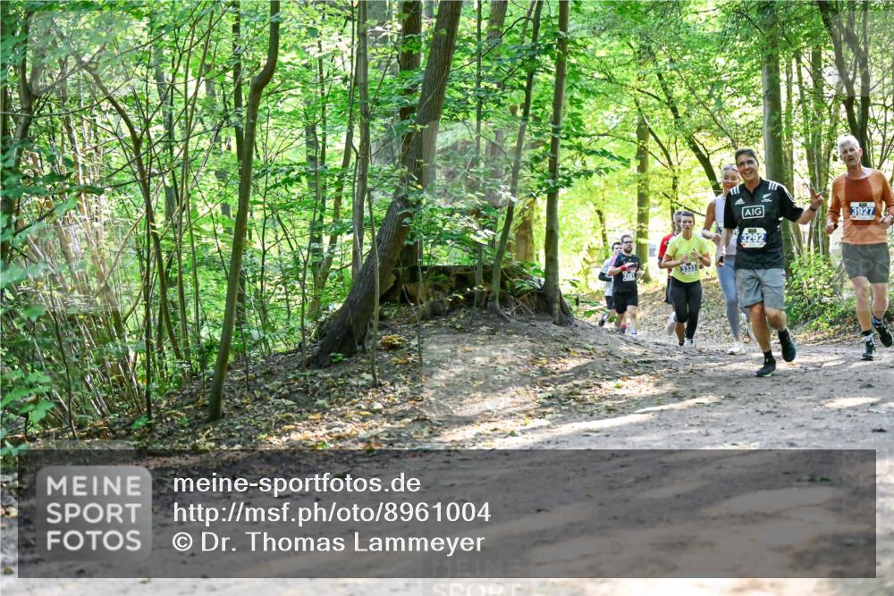 28.09.2025 - 33. Volkslauf durch das schöne Alstertal Dr. Thomas Lammeyer http://msf.ph/oto/8961004 28.09.2025 11:05:59 Laufen 3333, 3292, 3927 meine-sportfotos.de