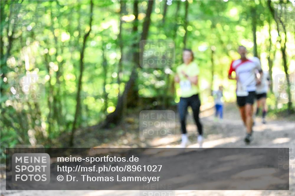 28.09.2025 - 33. Volkslauf durch das schöne Alstertal Dr. Thomas Lammeyer http://msf.ph/oto/8961027 28.09.2025 11:06:03 Laufen  meine-sportfotos.de