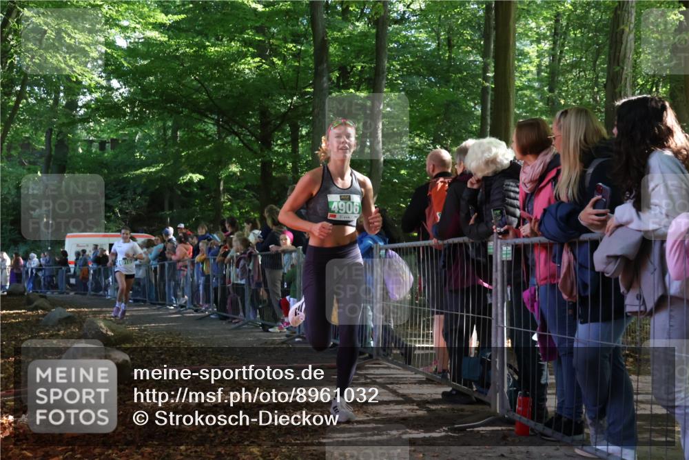 28.09.2025 - 33. Volkslauf durch das schöne Alstertal Strokosch-Dieckow http://msf.ph/oto/8961032 28.09.2025 10:52:14 Ziel 4906, 4910, 4918 meine-sportfotos.de