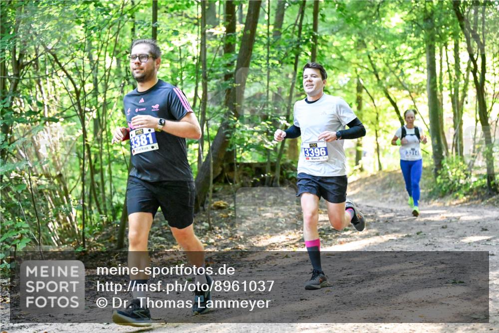 28.09.2025 - 33. Volkslauf durch das schöne Alstertal Dr. Thomas Lammeyer http://msf.ph/oto/8961037 28.09.2025 11:06:06 Laufen 3381, 3396, 7 meine-sportfotos.de