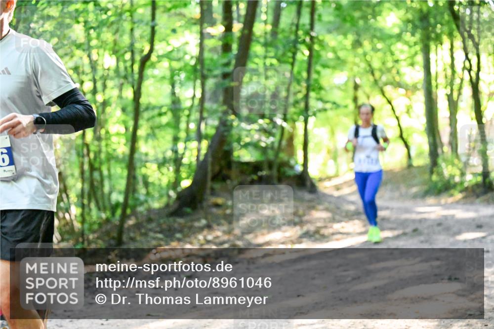 28.09.2025 - 33. Volkslauf durch das schöne Alstertal Dr. Thomas Lammeyer http://msf.ph/oto/8961046 28.09.2025 11:06:07 Laufen 9 meine-sportfotos.de