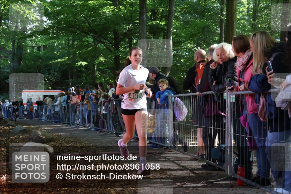 28.09.2025 - 33. Volkslauf durch das schöne Alstertal Strokosch-Dieckow http://msf.ph/oto/8961058 28.09.2025 10:52:17 Ziel 4118, 4910, 4918 meine-sportfotos.de