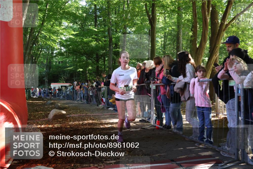 28.09.2025 - 33. Volkslauf durch das schöne Alstertal Strokosch-Dieckow http://msf.ph/oto/8961062 28.09.2025 10:52:18 Ziel 4118, 4910, 4918 meine-sportfotos.de