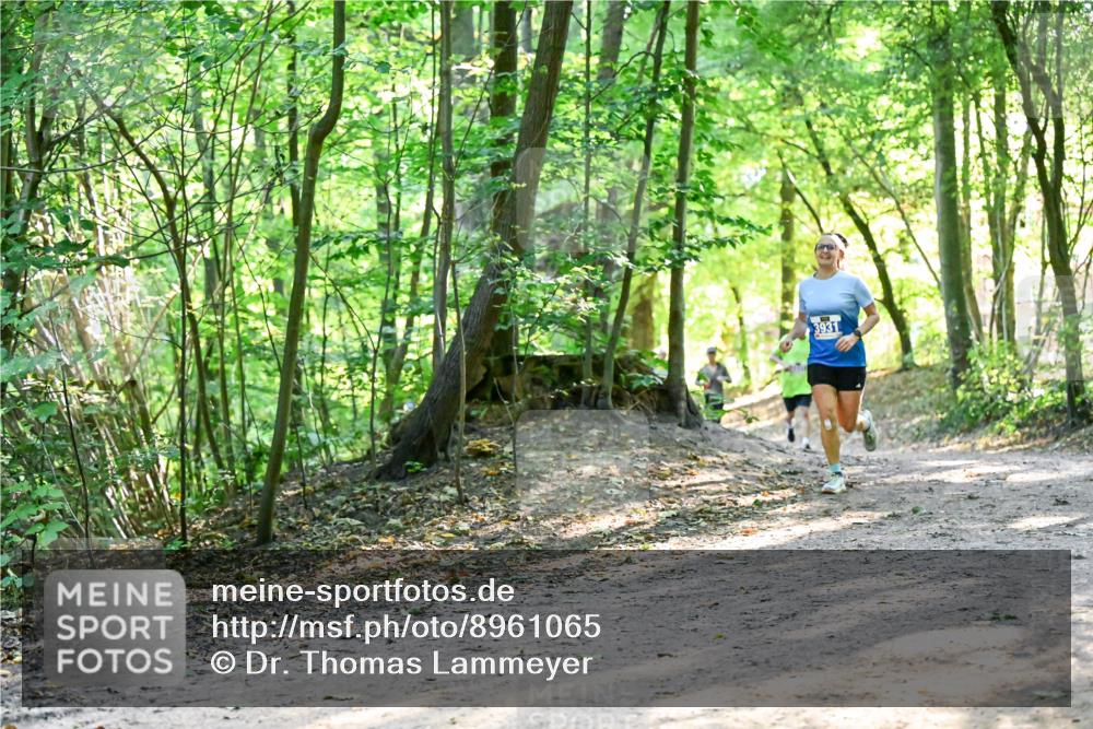 28.09.2025 - 33. Volkslauf durch das schöne Alstertal Dr. Thomas Lammeyer http://msf.ph/oto/8961065 28.09.2025 11:06:14 Laufen 3931 meine-sportfotos.de