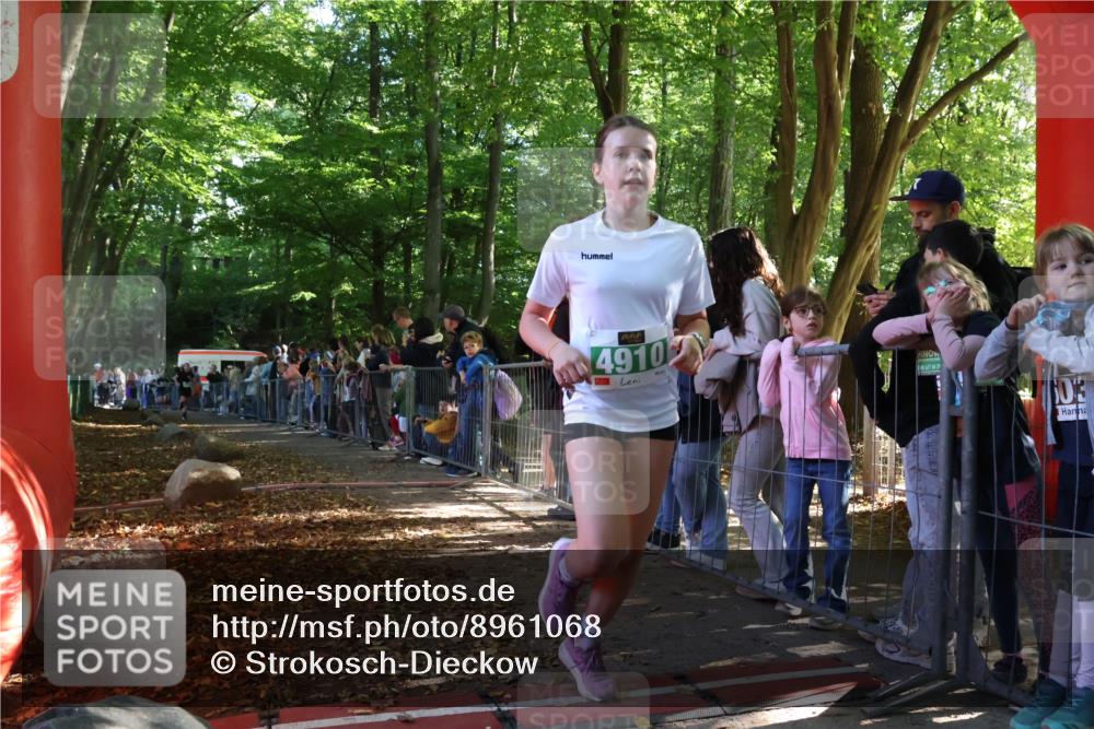 28.09.2025 - 33. Volkslauf durch das schöne Alstertal Strokosch-Dieckow http://msf.ph/oto/8961068 28.09.2025 10:52:18 Ziel 4118, 4910, 4918 meine-sportfotos.de