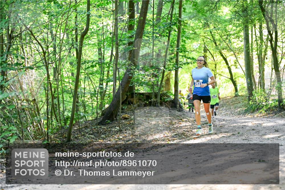 28.09.2025 - 33. Volkslauf durch das schöne Alstertal Dr. Thomas Lammeyer http://msf.ph/oto/8961070 28.09.2025 11:06:14 Laufen 3931 meine-sportfotos.de