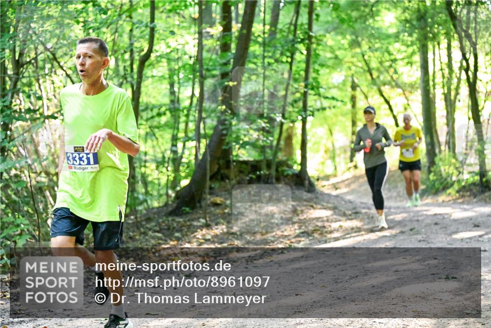 28.09.2025 - 33. Volkslauf durch das schöne Alstertal Dr. Thomas Lammeyer http://msf.ph/oto/8961097 28.09.2025 11:06:20 Laufen 3331 meine-sportfotos.de