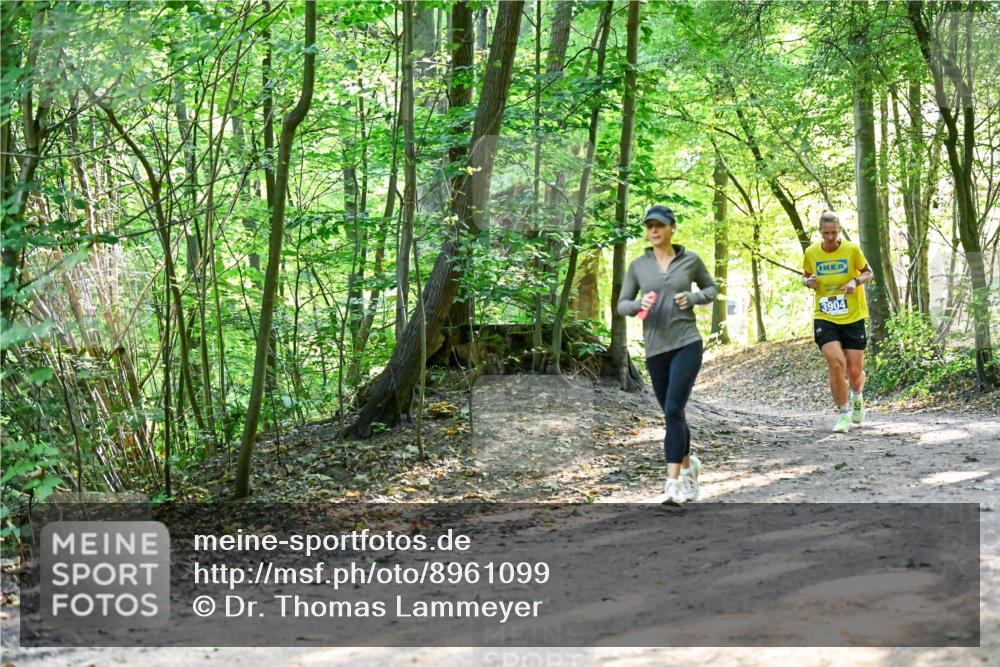 28.09.2025 - 33. Volkslauf durch das schöne Alstertal Dr. Thomas Lammeyer http://msf.ph/oto/8961099 28.09.2025 11:06:20 Laufen 3904 meine-sportfotos.de