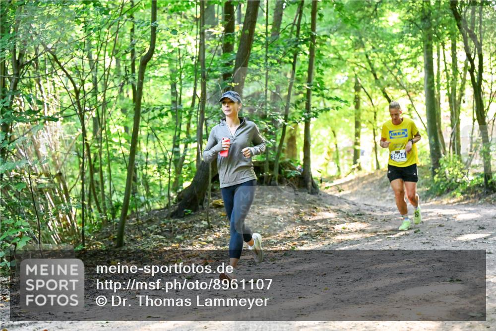 28.09.2025 - 33. Volkslauf durch das schöne Alstertal Dr. Thomas Lammeyer http://msf.ph/oto/8961107 28.09.2025 11:06:21 Laufen 3904 meine-sportfotos.de