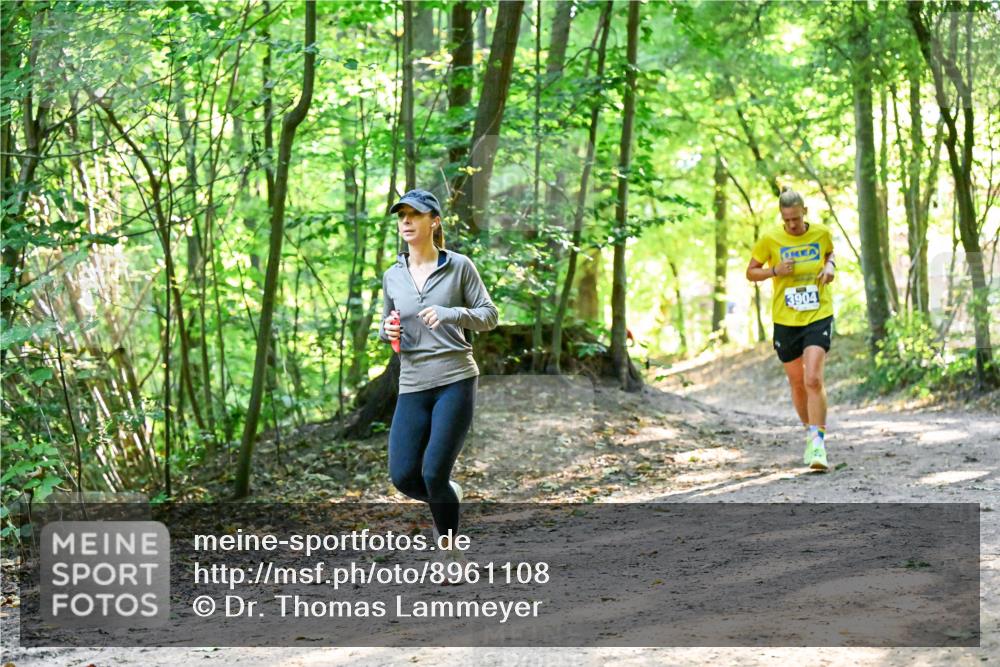 28.09.2025 - 33. Volkslauf durch das schöne Alstertal Dr. Thomas Lammeyer http://msf.ph/oto/8961108 28.09.2025 11:06:21 Laufen 3904 meine-sportfotos.de