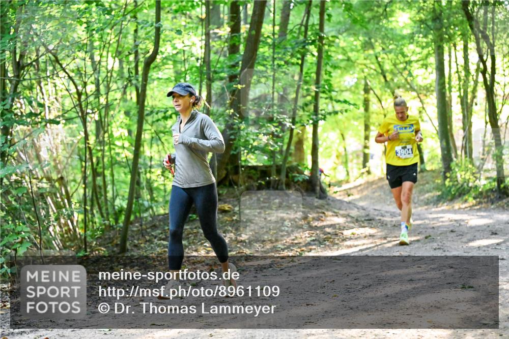 28.09.2025 - 33. Volkslauf durch das schöne Alstertal Dr. Thomas Lammeyer http://msf.ph/oto/8961109 28.09.2025 11:06:22 Laufen 3904 meine-sportfotos.de