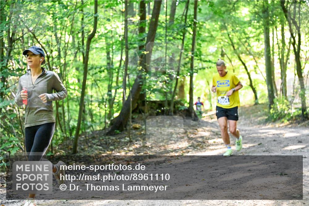 28.09.2025 - 33. Volkslauf durch das schöne Alstertal Dr. Thomas Lammeyer http://msf.ph/oto/8961110 28.09.2025 11:06:22 Laufen  meine-sportfotos.de