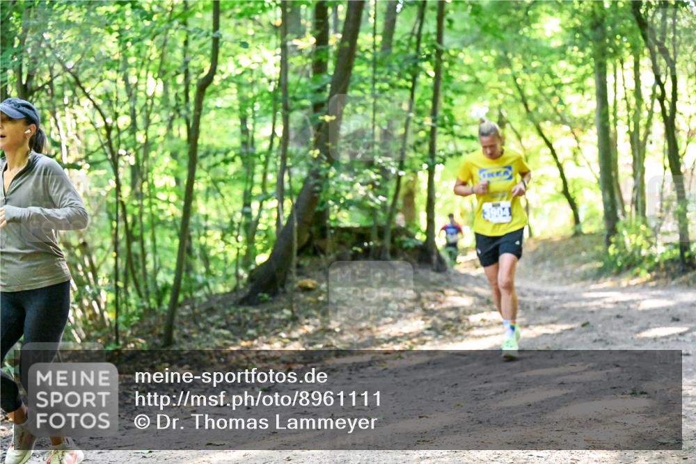 28.09.2025 - 33. Volkslauf durch das schöne Alstertal Dr. Thomas Lammeyer http://msf.ph/oto/8961111 28.09.2025 11:06:22 Laufen 3904 meine-sportfotos.de