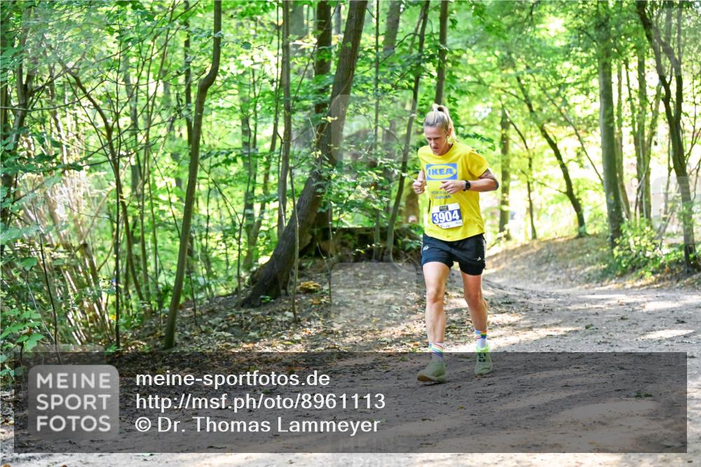 28.09.2025 - 33. Volkslauf durch das schöne Alstertal Dr. Thomas Lammeyer http://msf.ph/oto/8961113 28.09.2025 11:06:23 Laufen 3904 meine-sportfotos.de