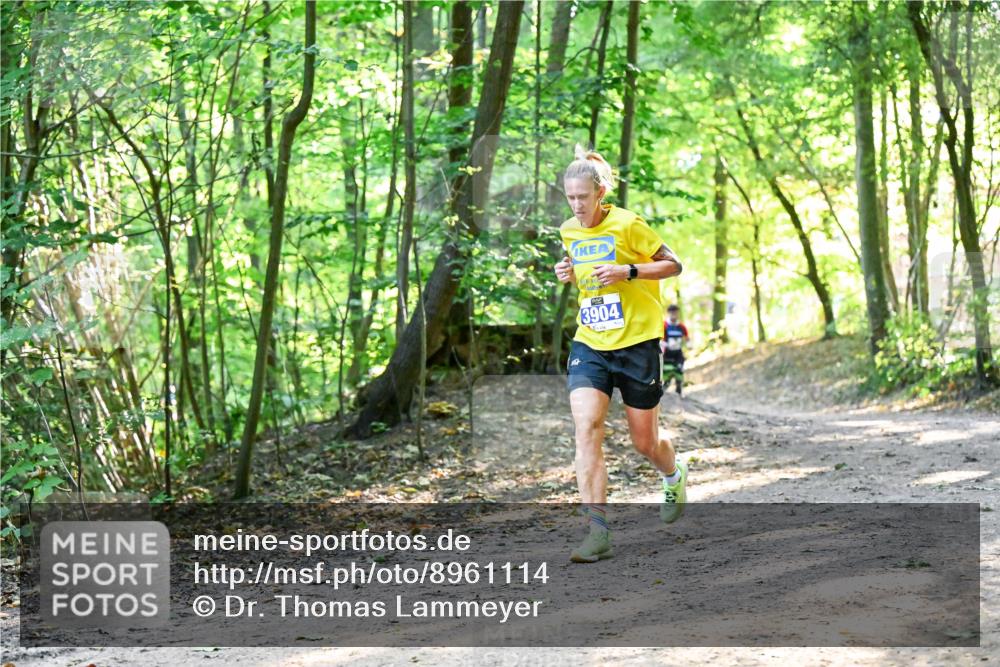 28.09.2025 - 33. Volkslauf durch das schöne Alstertal Dr. Thomas Lammeyer http://msf.ph/oto/8961114 28.09.2025 11:06:23 Laufen 3904 meine-sportfotos.de