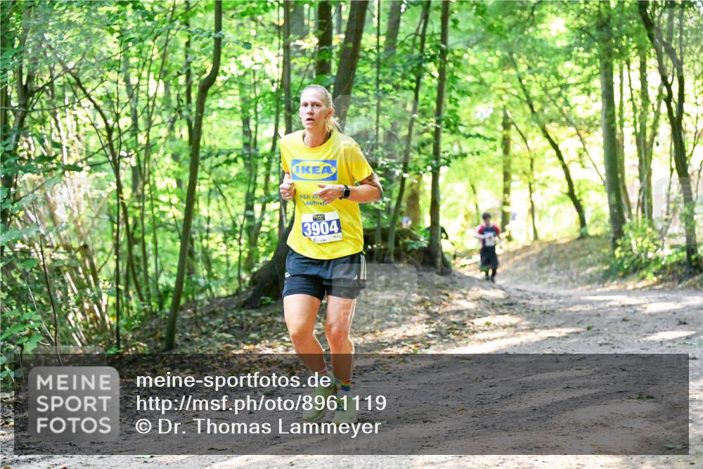 28.09.2025 - 33. Volkslauf durch das schöne Alstertal Dr. Thomas Lammeyer http://msf.ph/oto/8961119 28.09.2025 11:06:23 Laufen 3904 meine-sportfotos.de