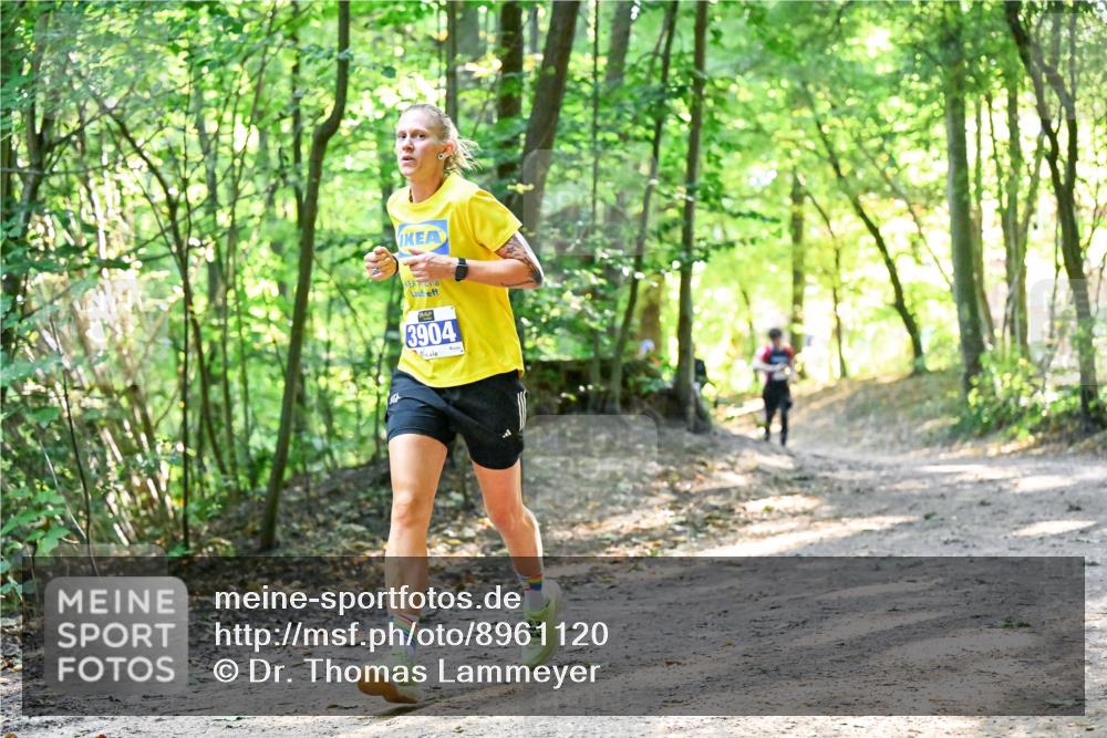 28.09.2025 - 33. Volkslauf durch das schöne Alstertal Dr. Thomas Lammeyer http://msf.ph/oto/8961120 28.09.2025 11:06:23 Laufen 3904 meine-sportfotos.de