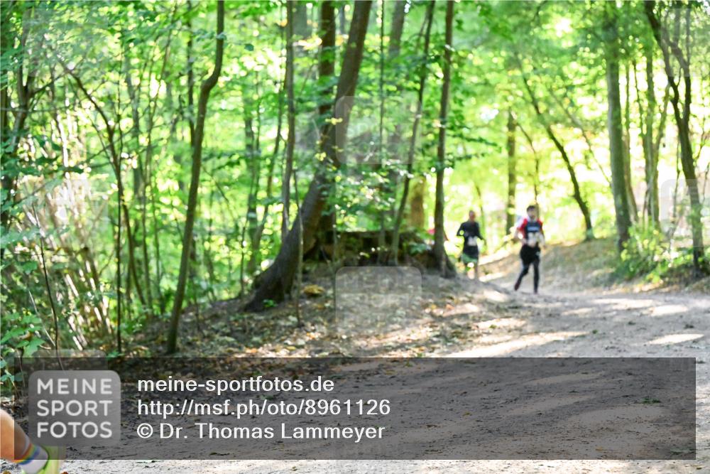 28.09.2025 - 33. Volkslauf durch das schöne Alstertal Dr. Thomas Lammeyer http://msf.ph/oto/8961126 28.09.2025 11:06:24 Laufen  meine-sportfotos.de