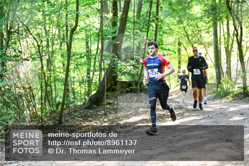 28.09.2025 - 33. Volkslauf durch das schöne Alstertal Dr. Thomas Lammeyer http://msf.ph/oto/8961137 28.09.2025 11:06:29 Laufen 3247, 3176 meine-sportfotos.de