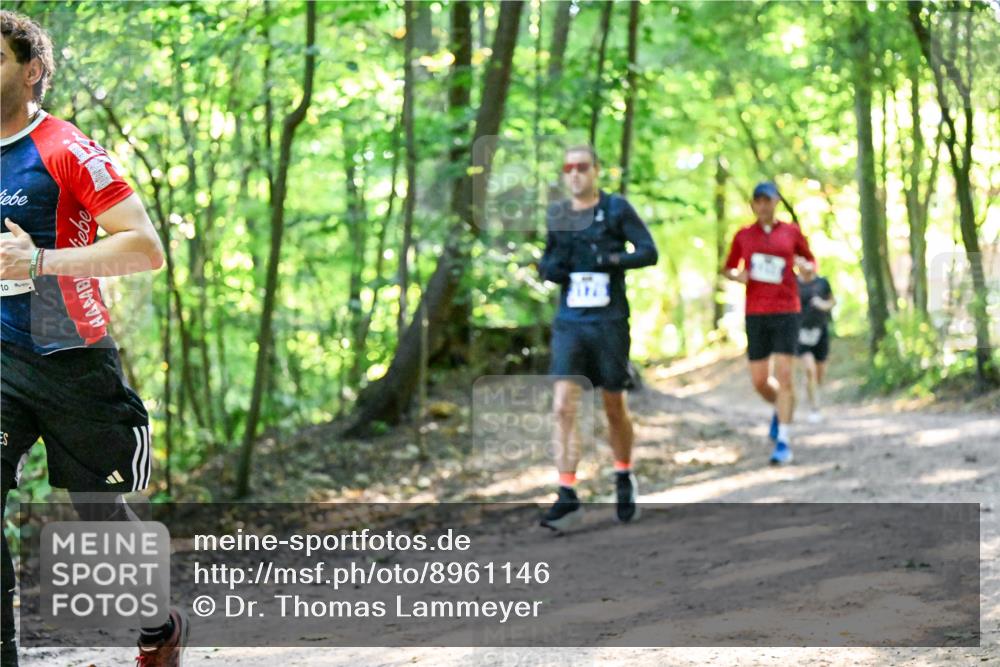 28.09.2025 - 33. Volkslauf durch das schöne Alstertal Dr. Thomas Lammeyer http://msf.ph/oto/8961146 28.09.2025 11:06:31 Laufen  meine-sportfotos.de