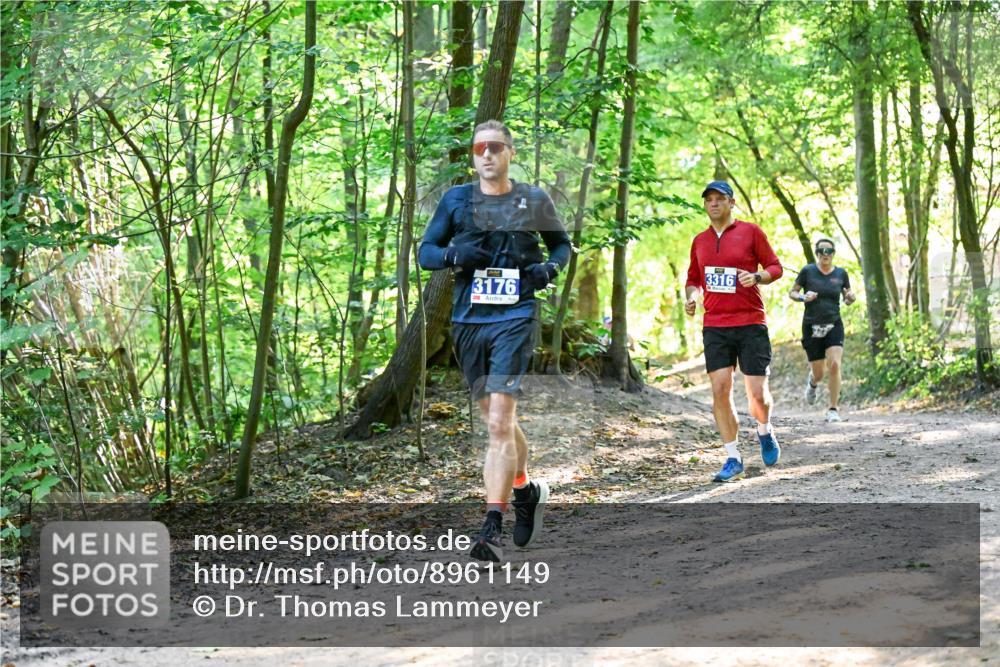 28.09.2025 - 33. Volkslauf durch das schöne Alstertal Dr. Thomas Lammeyer http://msf.ph/oto/8961149 28.09.2025 11:06:31 Laufen 3176, 3316 meine-sportfotos.de