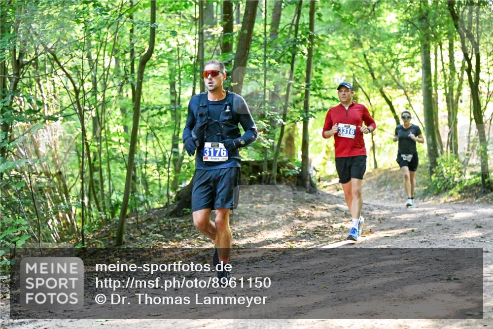 28.09.2025 - 33. Volkslauf durch das schöne Alstertal Dr. Thomas Lammeyer http://msf.ph/oto/8961150 28.09.2025 11:06:31 Laufen 3176, 3316 meine-sportfotos.de