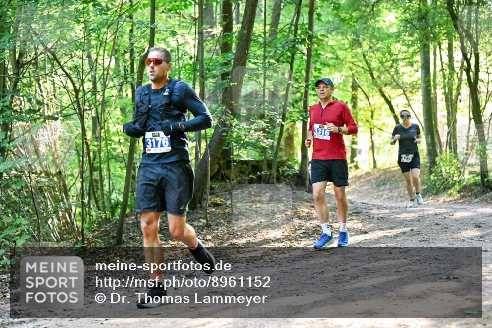 28.09.2025 - 33. Volkslauf durch das schöne Alstertal Dr. Thomas Lammeyer http://msf.ph/oto/8961152 28.09.2025 11:06:31 Laufen 3176, 3, 3316, 220 meine-sportfotos.de