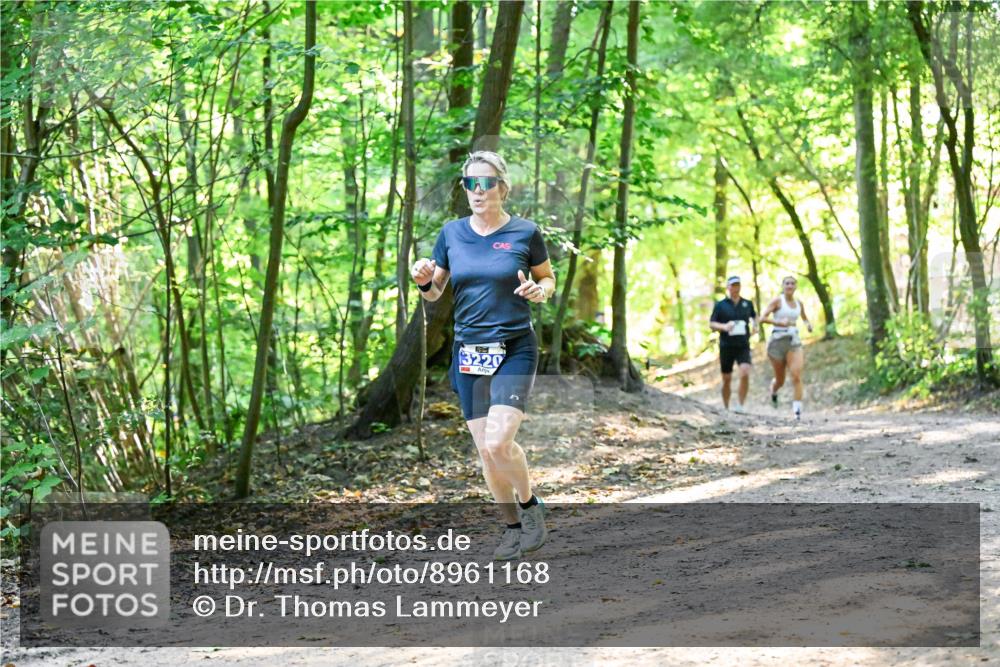 28.09.2025 - 33. Volkslauf durch das schöne Alstertal Dr. Thomas Lammeyer http://msf.ph/oto/8961168 28.09.2025 11:06:34 Laufen 3220 meine-sportfotos.de