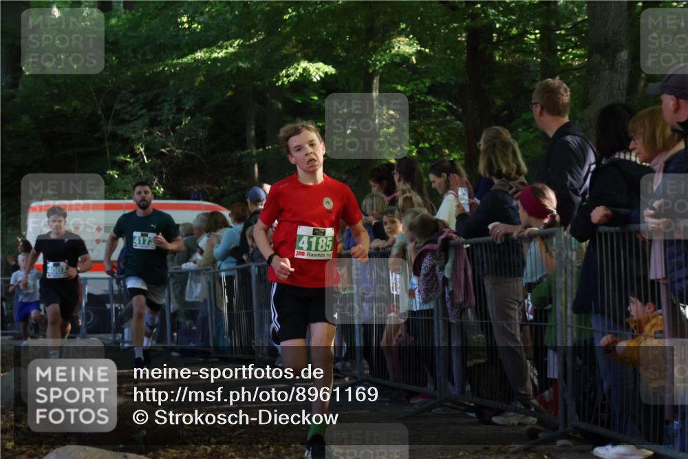 28.09.2025 - 33. Volkslauf durch das schöne Alstertal Strokosch-Dieckow http://msf.ph/oto/8961169 28.09.2025 10:52:48 Ziel 4007, 4078, 4173, 4185 meine-sportfotos.de