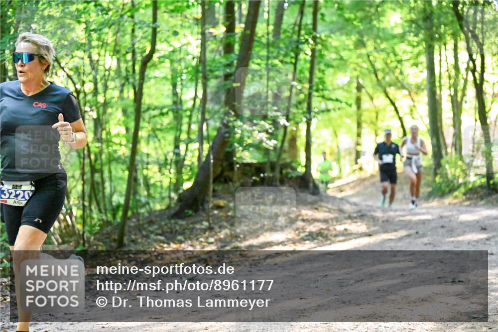 28.09.2025 - 33. Volkslauf durch das schöne Alstertal Dr. Thomas Lammeyer http://msf.ph/oto/8961177 28.09.2025 11:06:35 Laufen 3220 meine-sportfotos.de