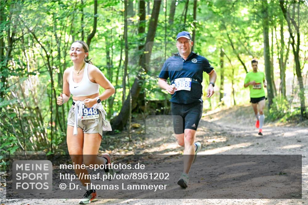 28.09.2025 - 33. Volkslauf durch das schöne Alstertal Dr. Thomas Lammeyer http://msf.ph/oto/8961202 28.09.2025 11:06:39 Laufen 7, 948, 3388, 40 meine-sportfotos.de