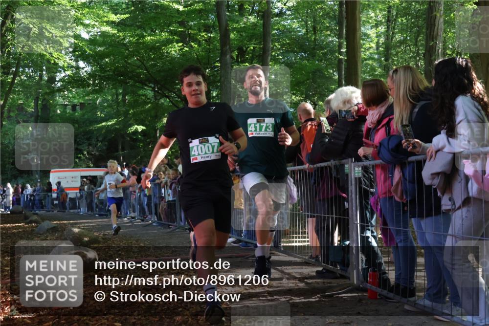 28.09.2025 - 33. Volkslauf durch das schöne Alstertal Strokosch-Dieckow http://msf.ph/oto/8961206 28.09.2025 10:52:51 Ziel 4007, 4078, 4173 meine-sportfotos.de