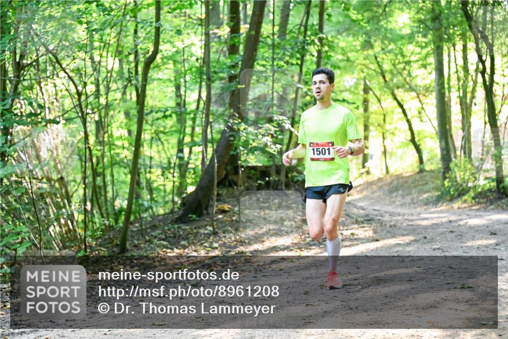 28.09.2025 - 33. Volkslauf durch das schöne Alstertal Dr. Thomas Lammeyer http://msf.ph/oto/8961208 28.09.2025 11:06:41 Laufen 1501 meine-sportfotos.de