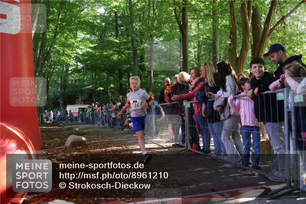 28.09.2025 - 33. Volkslauf durch das schöne Alstertal Strokosch-Dieckow http://msf.ph/oto/8961210 28.09.2025 10:52:52 Ziel 4007, 4078, 4173 meine-sportfotos.de