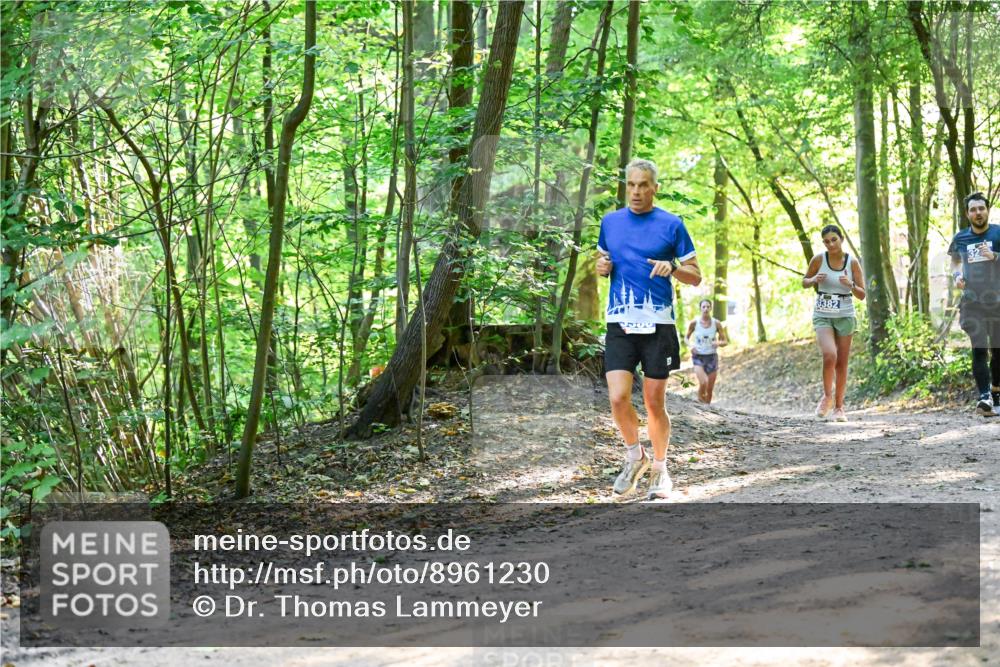 28.09.2025 - 33. Volkslauf durch das schöne Alstertal Dr. Thomas Lammeyer http://msf.ph/oto/8961230 28.09.2025 11:06:47 Laufen 500, 3382, 32 meine-sportfotos.de