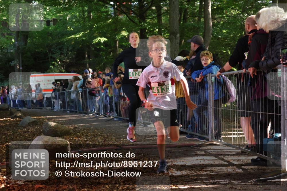 28.09.2025 - 33. Volkslauf durch das schöne Alstertal Strokosch-Dieckow http://msf.ph/oto/8961237 28.09.2025 10:53:05 Ziel 4124, 4135, 4184 meine-sportfotos.de