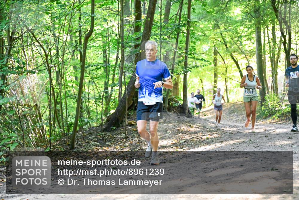 28.09.2025 - 33. Volkslauf durch das schöne Alstertal Dr. Thomas Lammeyer http://msf.ph/oto/8961239 28.09.2025 11:06:47 Laufen 3382, 324 meine-sportfotos.de