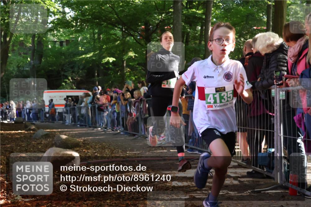 28.09.2025 - 33. Volkslauf durch das schöne Alstertal Strokosch-Dieckow http://msf.ph/oto/8961240 28.09.2025 10:53:05 Ziel 4124, 4135, 4184 meine-sportfotos.de