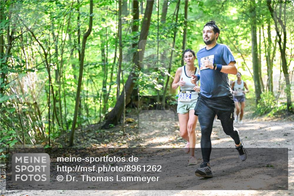 28.09.2025 - 33. Volkslauf durch das schöne Alstertal Dr. Thomas Lammeyer http://msf.ph/oto/8961262 28.09.2025 11:06:49 Laufen 382 meine-sportfotos.de