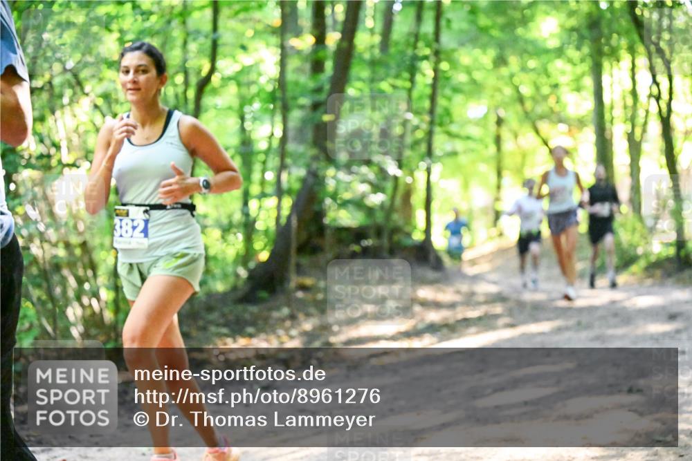 28.09.2025 - 33. Volkslauf durch das schöne Alstertal Dr. Thomas Lammeyer http://msf.ph/oto/8961276 28.09.2025 11:06:51 Laufen 382 meine-sportfotos.de
