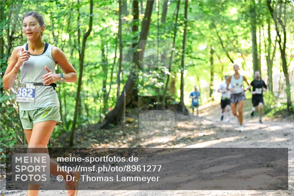 28.09.2025 - 33. Volkslauf durch das schöne Alstertal Dr. Thomas Lammeyer http://msf.ph/oto/8961277 28.09.2025 11:06:51 Laufen 382 meine-sportfotos.de